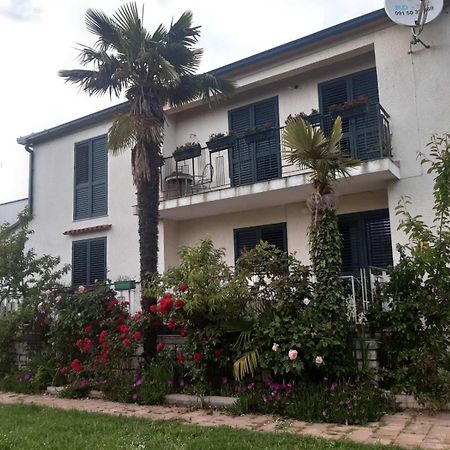 Apartments Palm House ロヴィニ エクステリア 写真