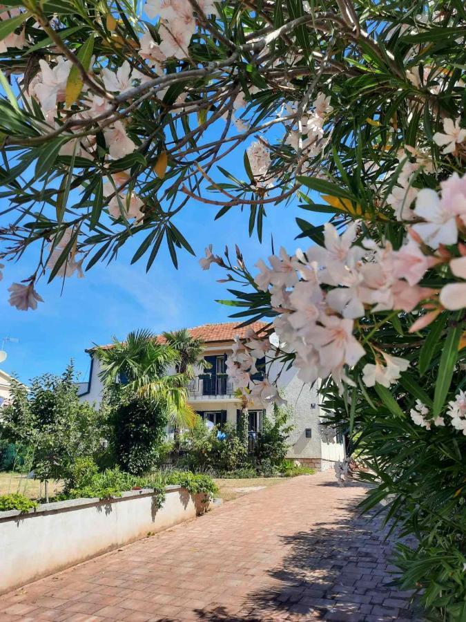 Apartments Palm House ロヴィニ エクステリア 写真