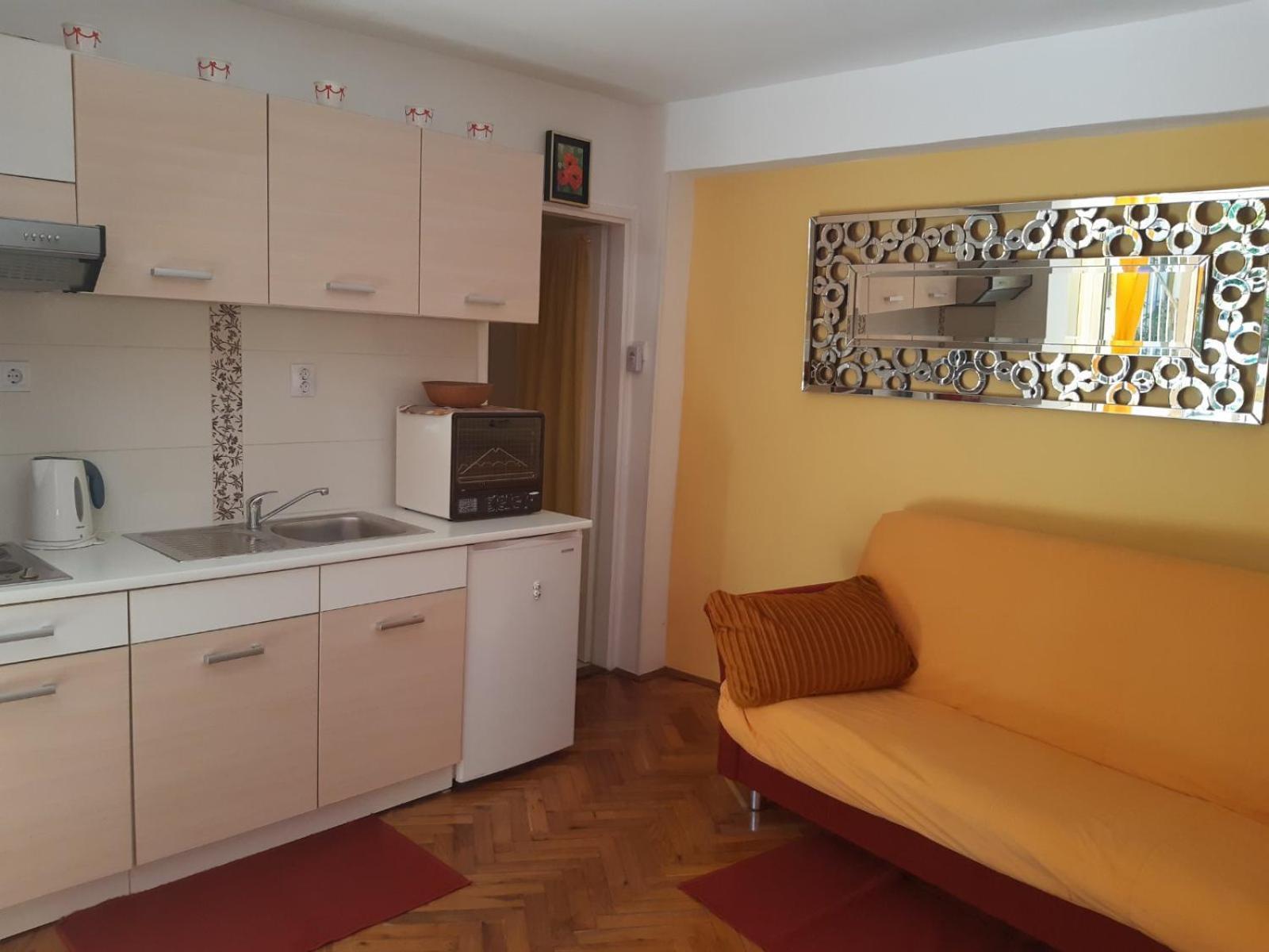 Apartments Palm House ロヴィニ 部屋 写真